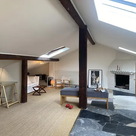 Large Bohemian Loft With Rooftop In Pere Lachaise Daire *