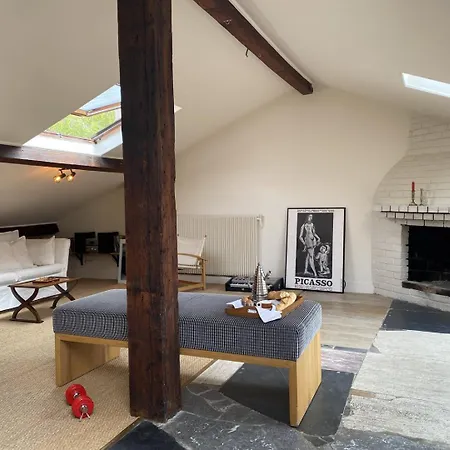 Large Bohemian Loft With Rooftop In Pere Lachaise Paris