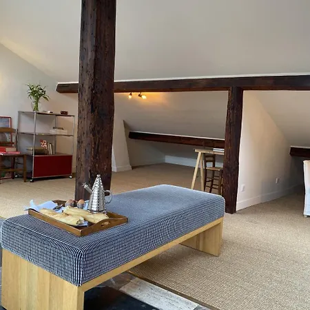 Large Bohemian Loft With Rooftop In Pere Lachaise Daire