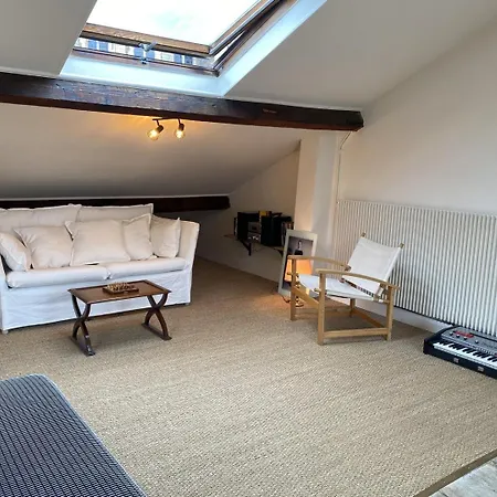 Daire Large Bohemian Loft With Rooftop In Pere Lachaise