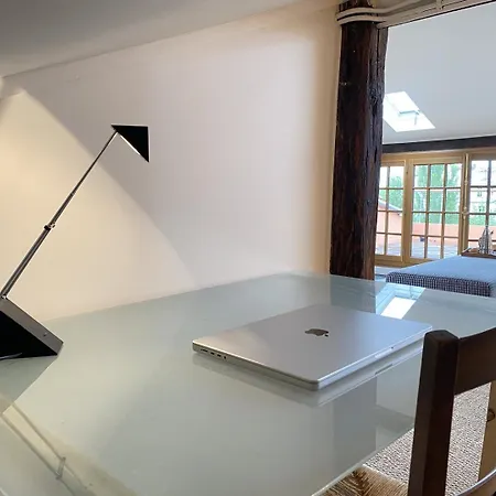Large Bohemian Loft With Rooftop In Pere Lachaise Daire *